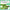 Lacy Cling Wrap CF314 45cm x 300m | Heavy Duty Cling Film Singapore