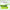 Lacy Cling Wrap CF311 30cm x 100m with Cutter | Food Grade Singapore