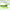 Lacy Cling Wrap CF313 30cm x 300m with Cutter | Food Grade Cling Film Singapore